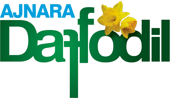 Ajnara Daffodil